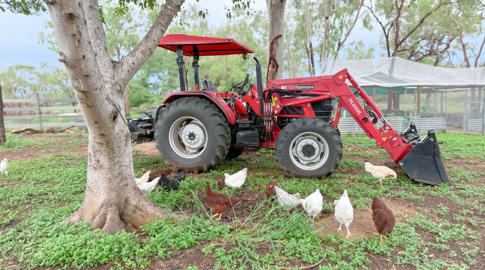 farm stays queensland